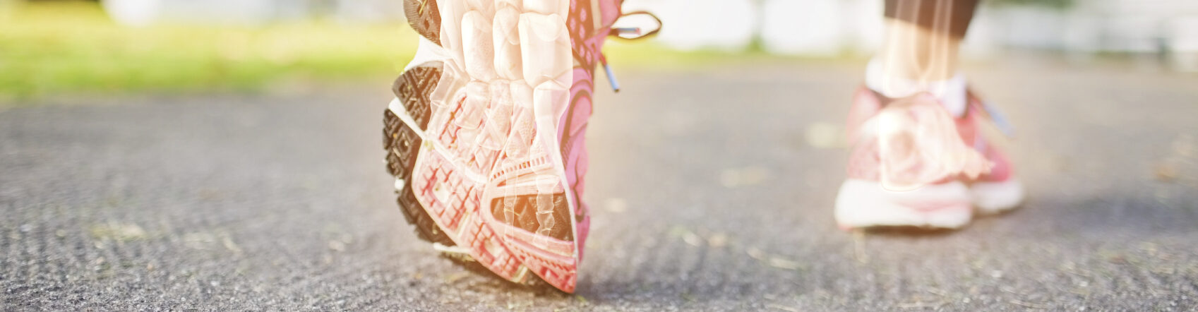 Regenerative Sports Medicine